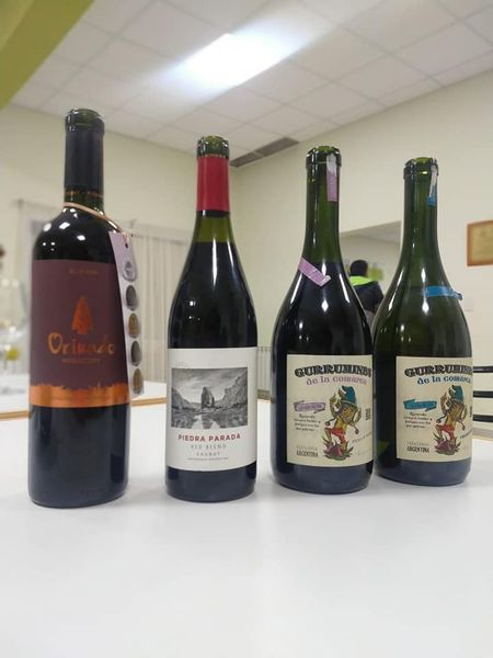 #CHUBUT | Se desarrolla la producción vitivinícola en Comodoro&nbsp;Rivadavia