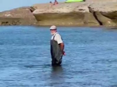 #CHUBUT | Pescadores matan a palazos a un lobo marino atrapado en una red en Península&nbsp;Valdés