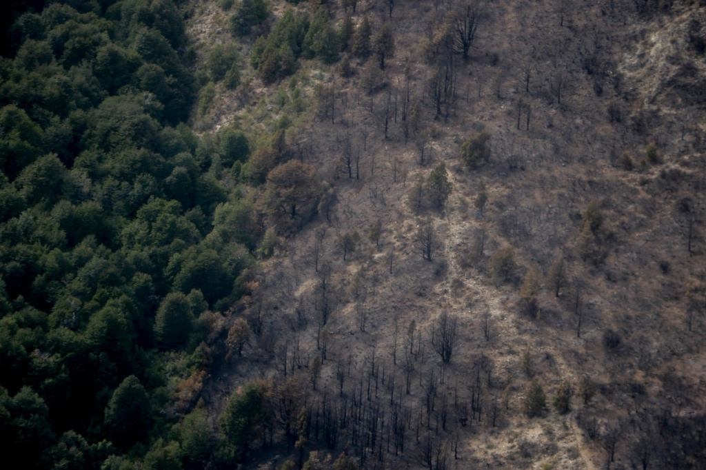 #CHUBUT | El incendio en Las Golondrinas se encuentra&nbsp;extinguido