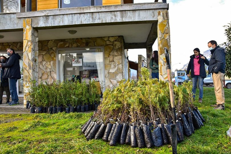 CHUBUT | Comenzó el plan para reforestar las áreas afectadas por los incendios del&nbsp;verano