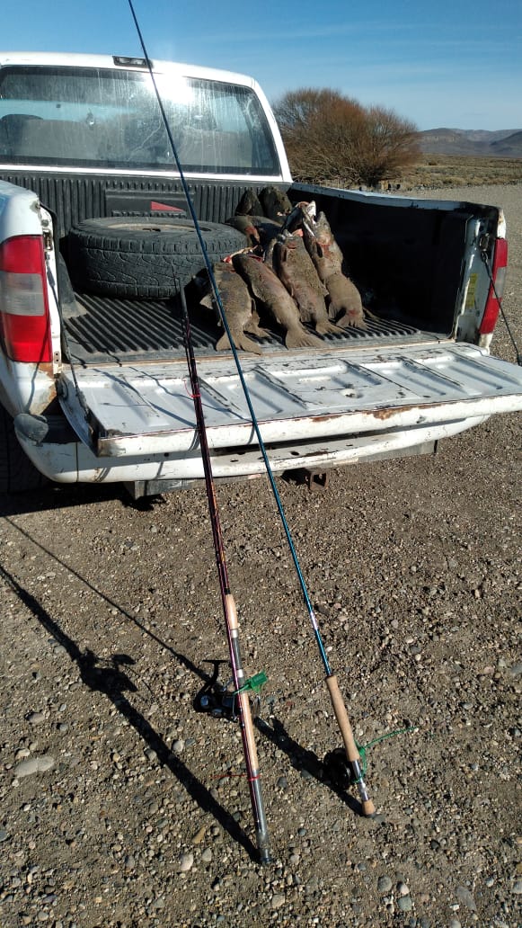 CHUBUT | Se decomisaron cañas, truchas y equipos a pescadores furtivos en&nbsp;Sarmiento