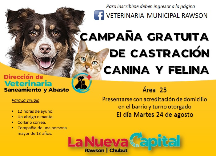 #RAWSON | CAMPAÑA GRATUITA DE CASTRACIÓN CANINA Y&nbsp;FELINA