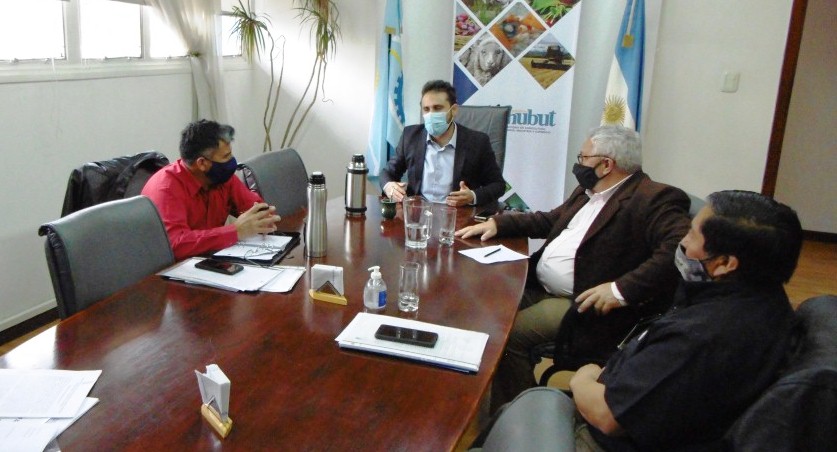 #CHUBUT | CARRENLEUFÚ SE PROYECTA HACIA LA PRODUCCIÓN DE&nbsp;PAPA