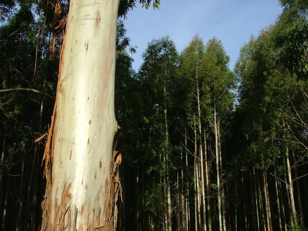 #ENTRE RÍOS | RESCATAN A 12 TRABAJADORES RURALES QUE SE ENCONTRABAN EN CONDICIONES&nbsp;INFRAHUMANAS