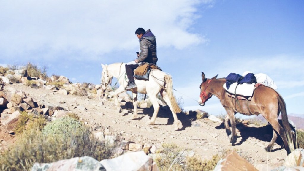 #JUJUY | TRASLADARÁN URNAS A LOMO DE&nbsp;MULA