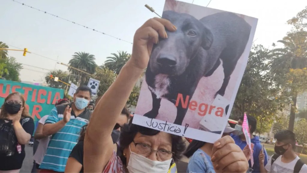 #JUJUY | MULTITUDINARIA MARCHA PARA PEDIR JUSTICIA POR EL ABERRANTE ASESINATO DE&nbsp;“NEGRITA”