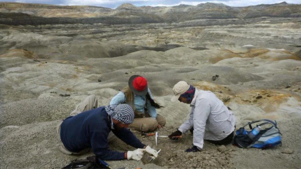 #PATAGONIA | ENCUENTRAN RESTOS FÓSILES DE 80 MILLONES DE AÑOS EN SANTA&nbsp;CRUZ