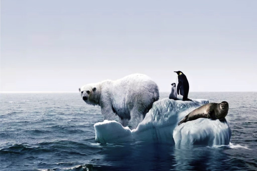 #MUNDO | EL PBI MUNDIAL PODRÍA REDUCIRSE 37% A CAUSA DEL CALENTAMIENTO&nbsp;GLOBAL