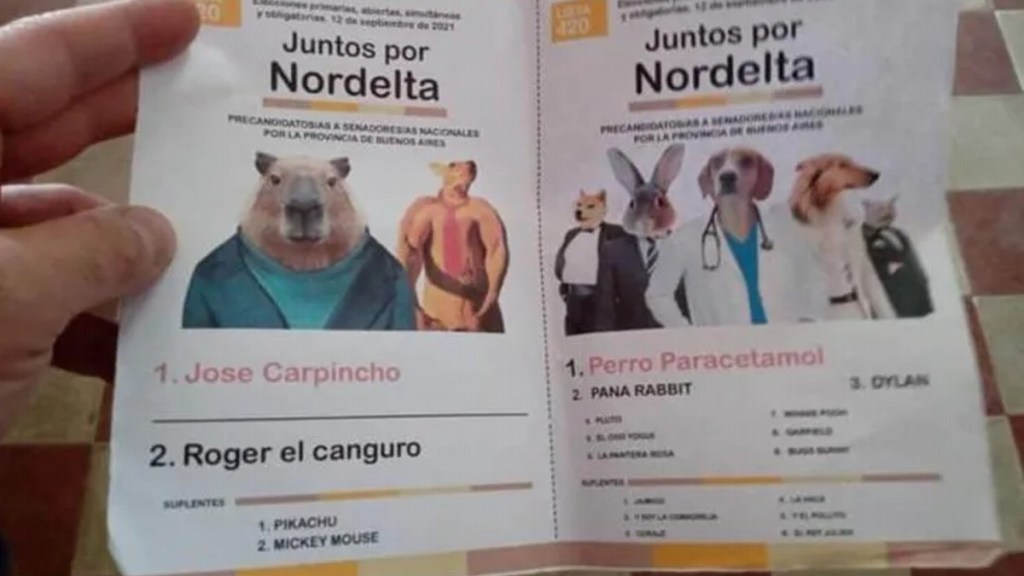 #INSÓLITO | LOS CARPINCHOS PRESENTARON BOLETA Y LE GANARON A GUILLERMO MORENO Y CINTHIA&nbsp;FERNÁNDEZ