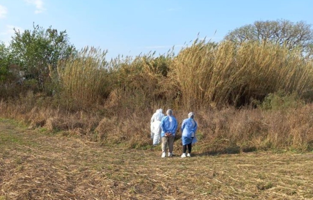 #TUCUMAN | ENCUENTRAN MUERTA A MUJER QUE ERA BUSCADA HACE 6&nbsp;DÍAS