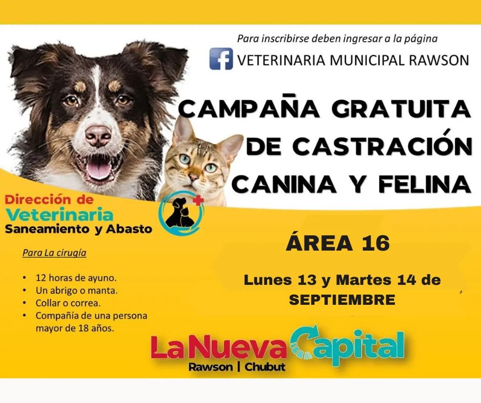 #RAWSON | NUEVA CAMPAÑA DE CASTRACIÓN DE&nbsp;MASCOTAS