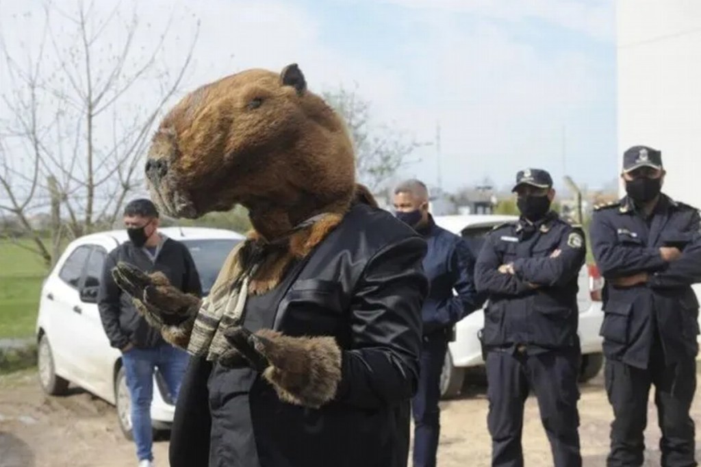 #ELECCIONES | PERLITAS, HECHOS INSÓLITOS Y LLAMATIVOS QUE DEJARON LAS PASO&nbsp;2021