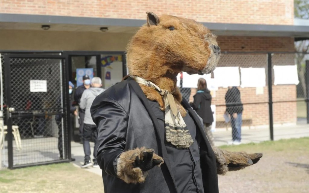 #INSÓLITO | HOMBRE CARPINCHO FUE A VOTAR EN&nbsp;NORDELTA