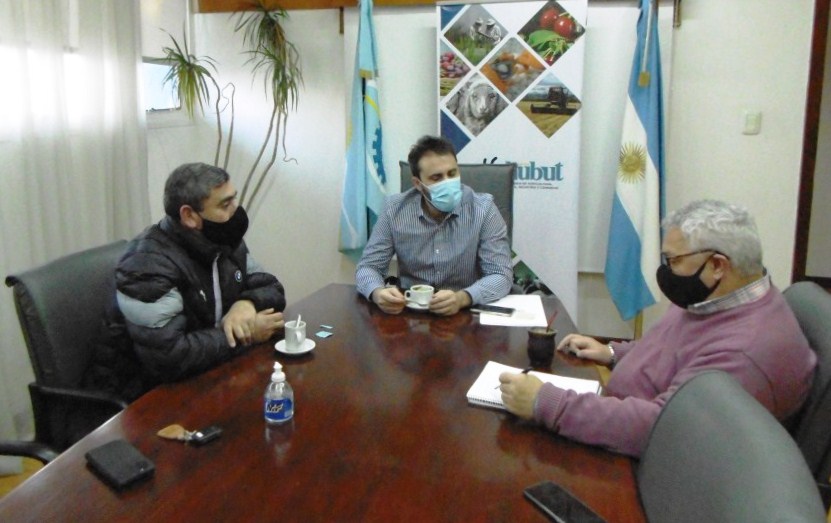#PRODUCCIÓN | AGRICULTURA FAMILIAR EN PASO DEL&nbsp;SAPO