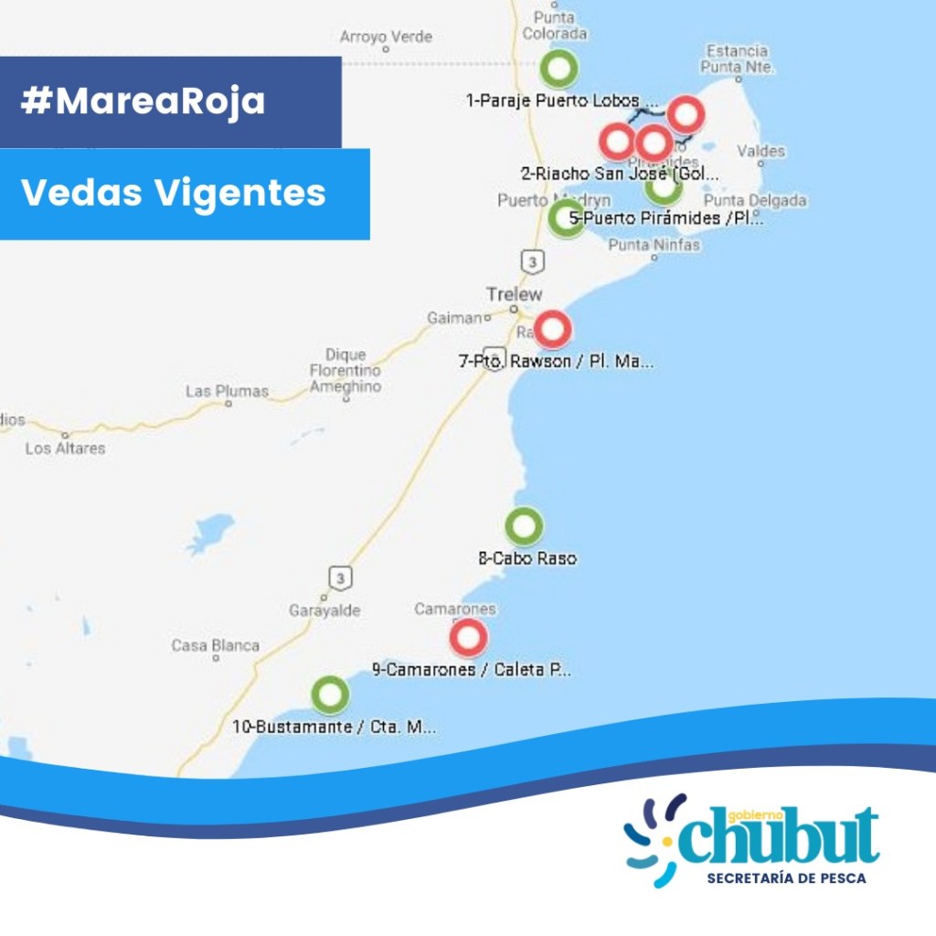 #IMPORTANTE | VEDA PARA EXTRACCIÓN DE MOLUSCOS Y&nbsp;GASTEROPODOS