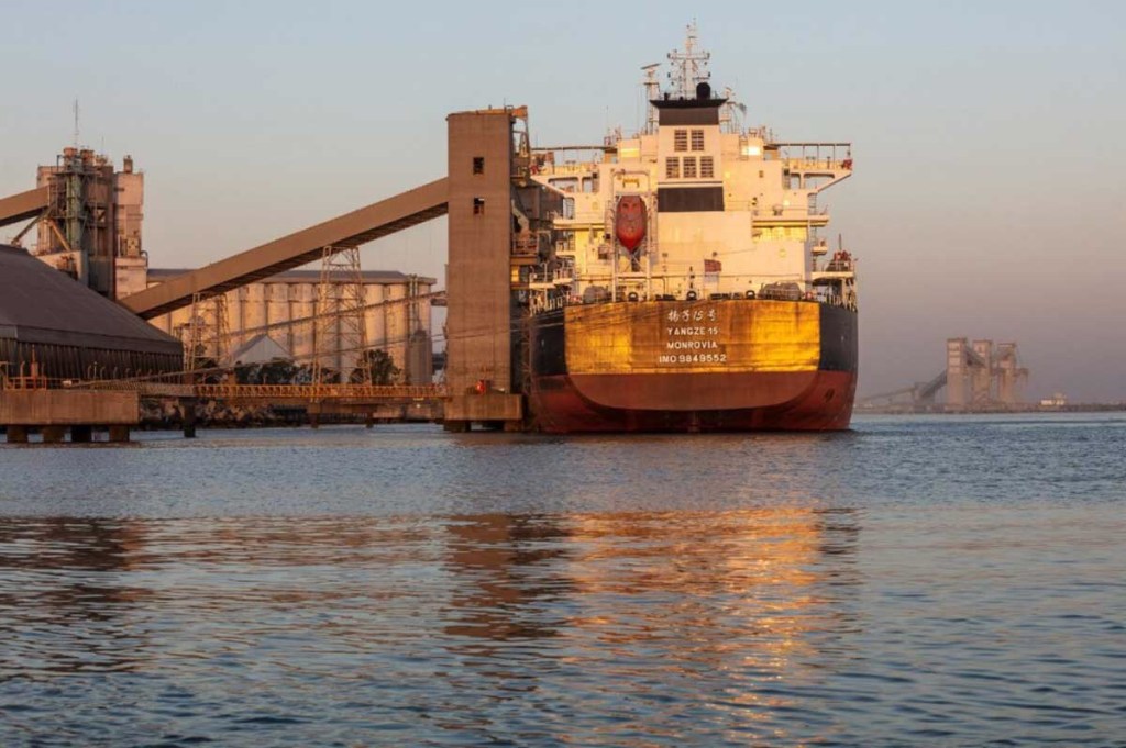 #ECONOMÍA | RÉCORD HISTÓRICO DE EXPORTACIÓN DE GRANOS DE PUERTOS DEL SUR BONAERENSE POR LA BAJANTE DEL RÍO&nbsp;PARANÁ