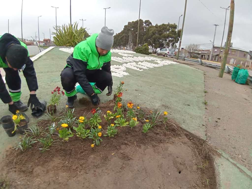 #RAWSON | EMBELLECEN LA CAPITAL CON PRODUCCIÓN DEL VIVERO&nbsp;MUNICIPAL
