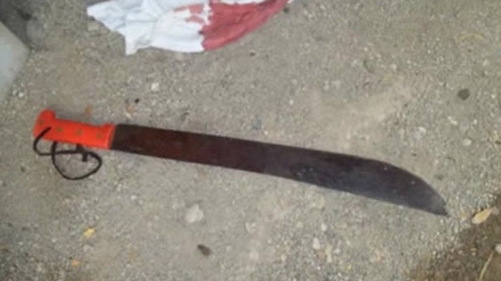 #HORROR | ASESINAN A UNA MUJER A&nbsp;MACHETAZOS