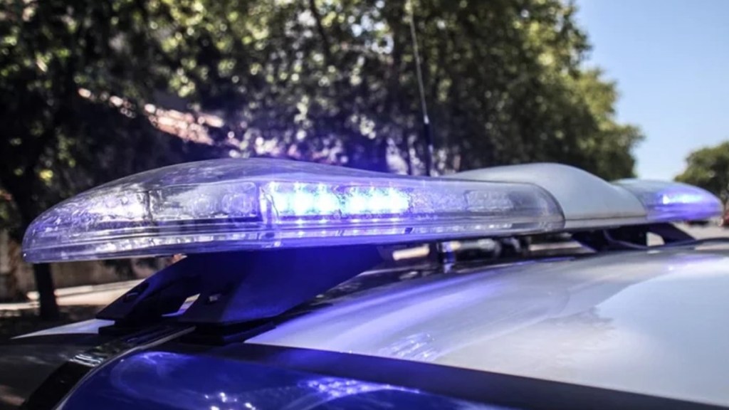 detención, pedido de captura, Comodoro Rivadavia, control de identificación, B. J. H., Comisaría Seccional Sexta, juez Odorisio, Dra. Cavaleiro, Dr. Carreño, audiencia de control, detención Palermo, ciudadano chileno, orden de captura Alemania, hurto agravado, Policía Federal Argentina, Interpol, organización criminal, bienes de lujo, cooperación internacional, Juzgado Nacional en lo Criminal y Correccional Federal