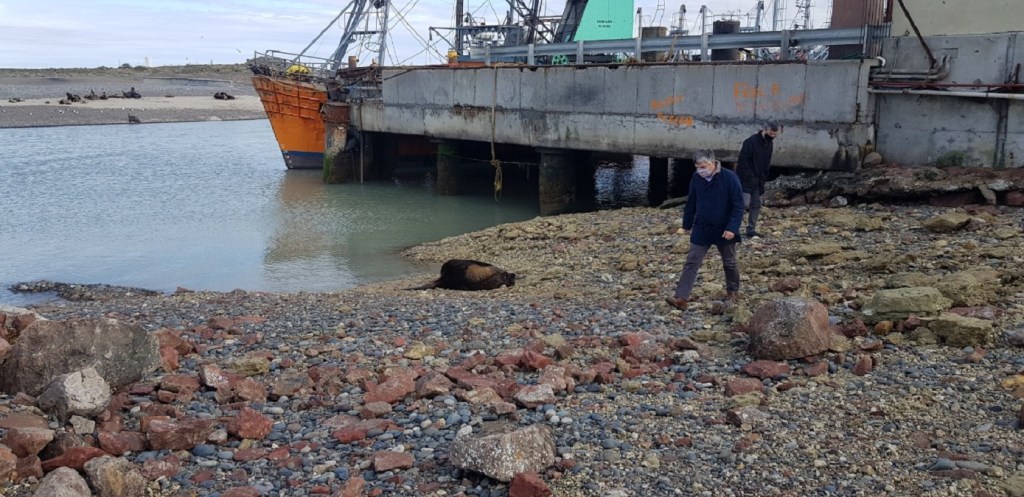 #CHUBUT | FINALIZÓ LA OBRA DE DEFENSAS EN EL NUEVO MUELLE DE&nbsp;RAWSON