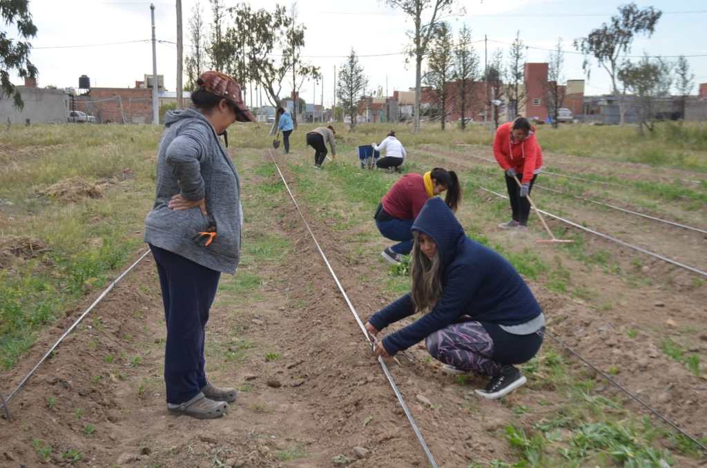 #TRELEW| DESTACADA LABOR DE SIEMBRA EN LAS PARCELAS&nbsp;SOCIALES