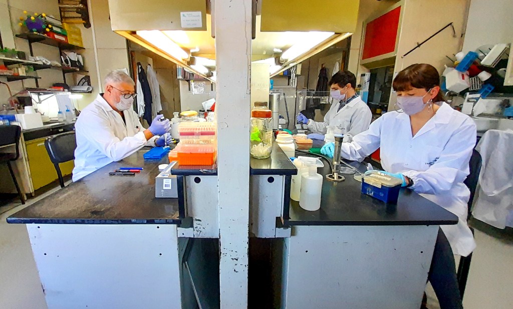 #COVID-19 | VACUNA ARGENTINA ES EFECTIVA CONTRA LAS VARIANTES DELTA, GAMMA Y&nbsp;ALFA