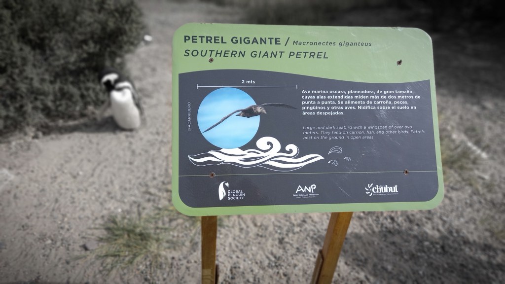 #INCLUSIÓN | TRELEW GESTIONA EL INGRESO DE PERSONAS CON DISCAPACIDAD A LAS ÁREAS&nbsp;PROTEGIDAS