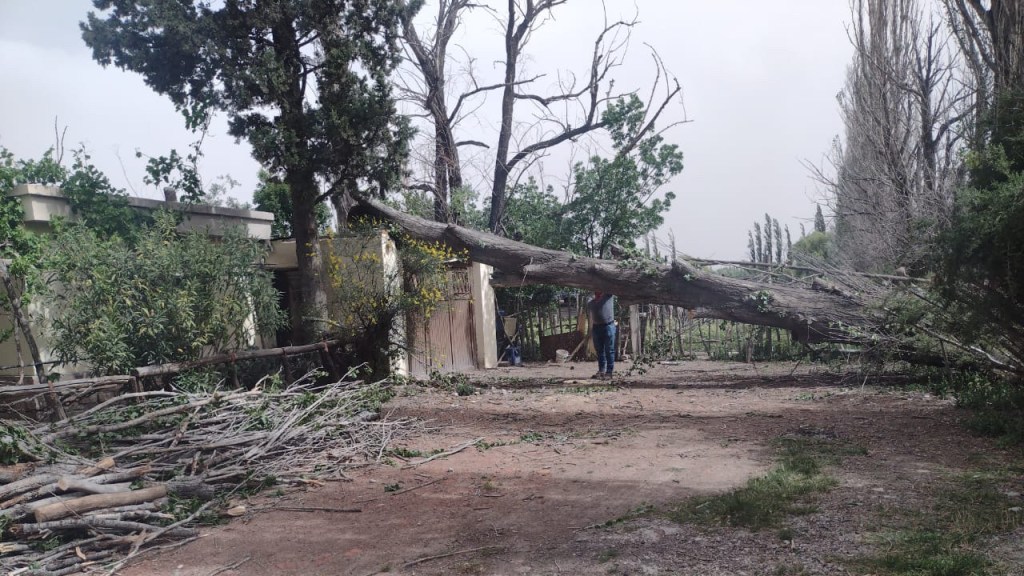 #VIENTO | IMPORTANTES DESTROZOS A CAUSA DEL TEMPORAL EN TRELEW 