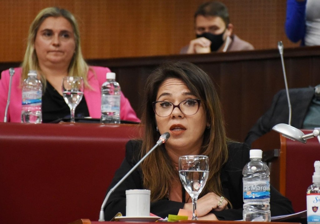 #CHUBUT | LA LEGISLATURA SOLICITÓ INFORMES A MASSONI SOBRE PROTOCOLO Y CAPACITACIÓN POLICIAL EN MATERIA DE VIOLENCIA DE&nbsp;GÉNERO