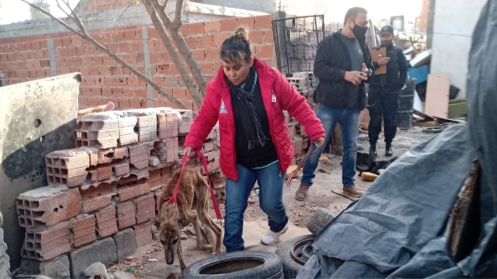 #TRELEW | INTERVINIERON ANTE UN CASO DE MALTRATO&nbsp;ANIMAL