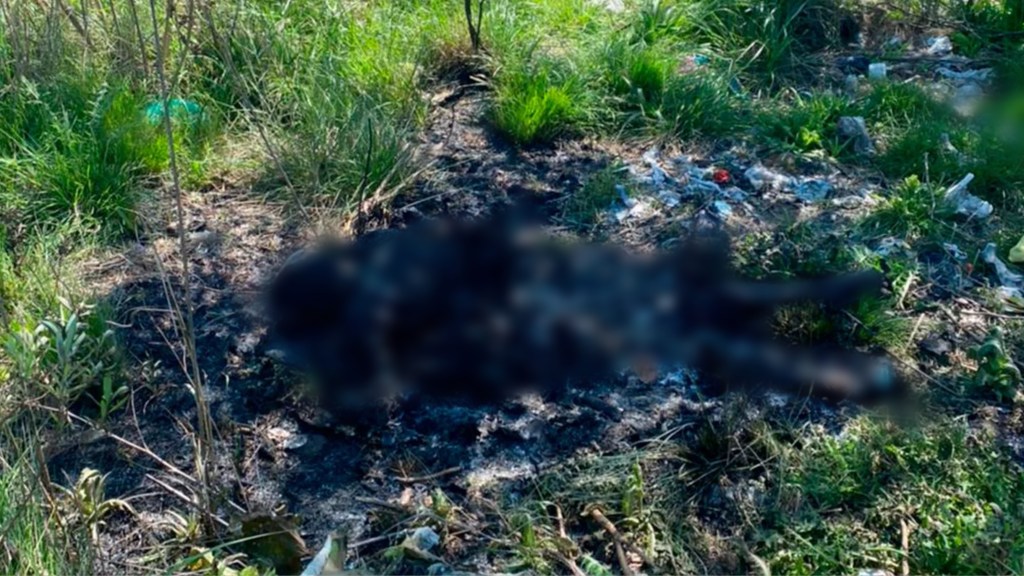 #MACABRO | DOS NIÑOS ENCUENTRAN CADÁVER CALCINADO DE UN HOMBRE EN UN&nbsp;DESCAMPADO