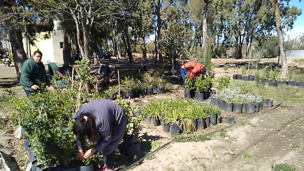 #CAPITAL | ENTRENAMIENTO LABORAL PARA PERSONAS CON&nbsp;DISCAPACIDAD