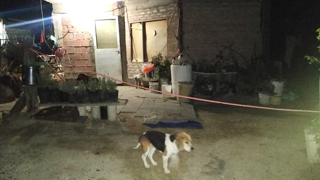 #HORROR | ENCUENTRAN ASESINADA A PUÑALADAS A UNA MUJER EN PUERTO MADRYN Y BUSCAN AL YERNO COMO PRINCIPAL&nbsp;SOSPECHOSO