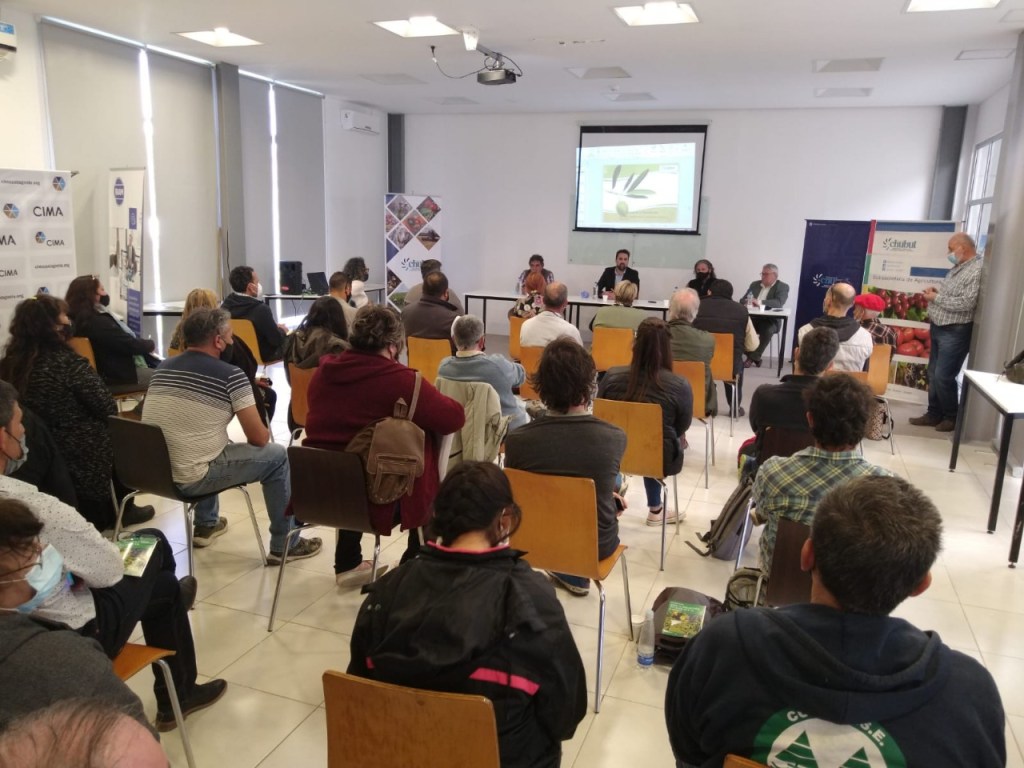 #CHUBUT | POSIBILIDADES DE LA OLIVICULTURA EN LA&nbsp;PROVINCIA