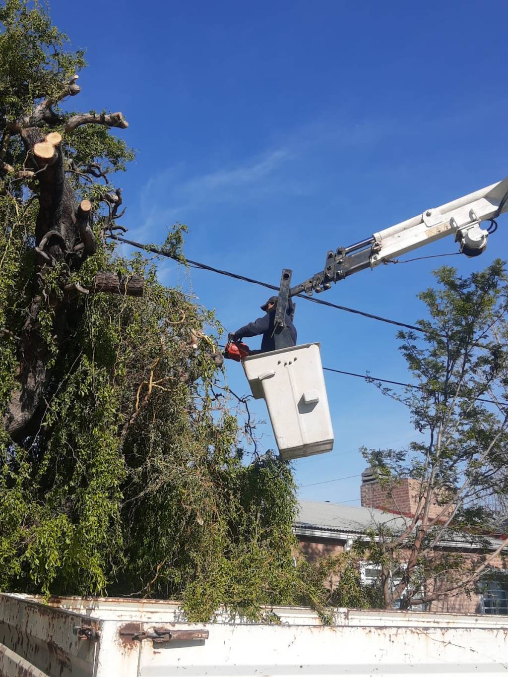 #TRELEW | TAREAS DE MANTENIMIENTO EN LOS ESPACIOS&nbsp;PÚBLICOS