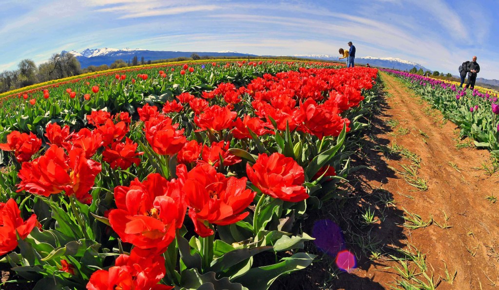 #TURISMO | CHUBUT TRABAJA EN LA GENERACIÓN DE UNA MARCA PARA MEJORAR LA&nbsp;COMPETITIVIDAD