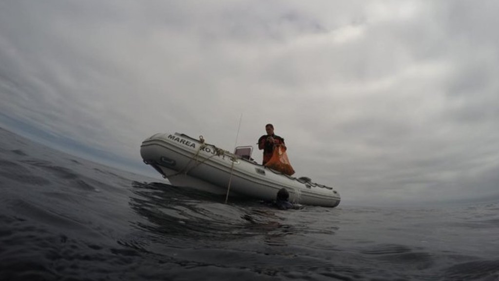 #CHUBUT | VEDARON LA EXTRACCIÓN DE MOLUSCOS Y GASTERÓPODOS EN EL GOLFO&nbsp;NUEVO