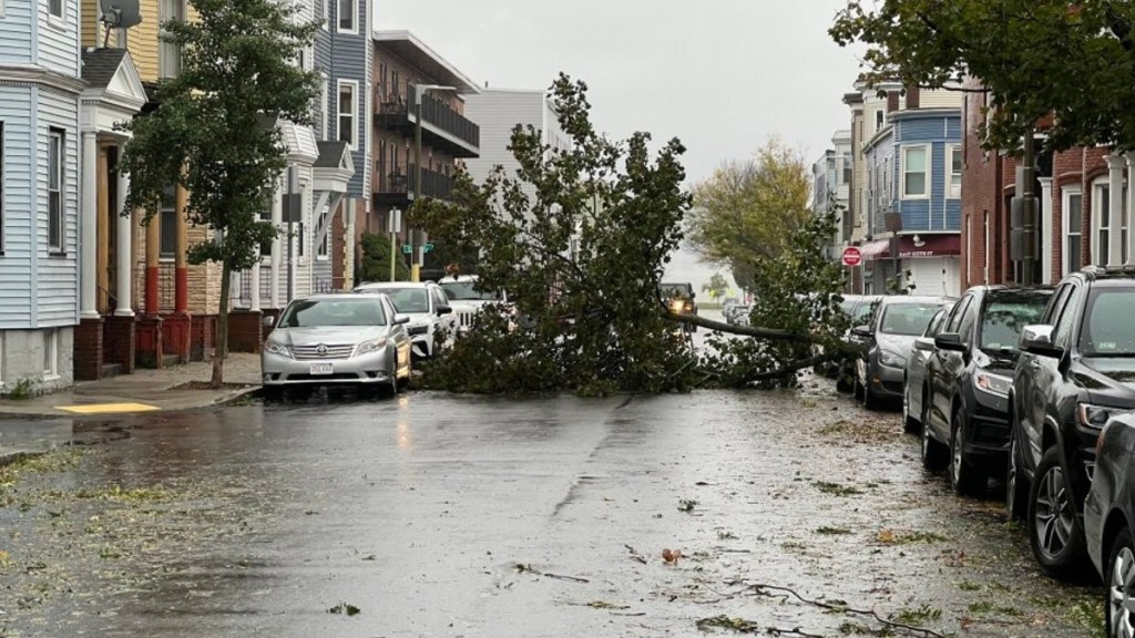 #MUNDO | MAS DE 600 MIL HOGARES SIN LUZ POR UNA TORMENTA EN ESTADOS&nbsp;UNIDOS