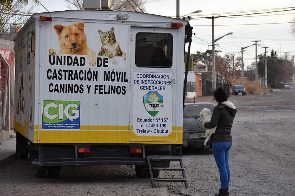 #TRELEW | ALERTAN POR ESTAFAS EN DESPARACITACIONES DE&nbsp;MASCOTAS