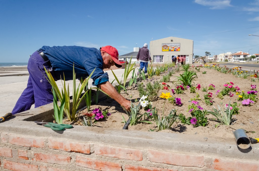 #RAWSON | AMBIENTE REALIZÓ PLANTACIÓN DE ESPECIES FLORALES EN PLAYA&nbsp;UNIÓN