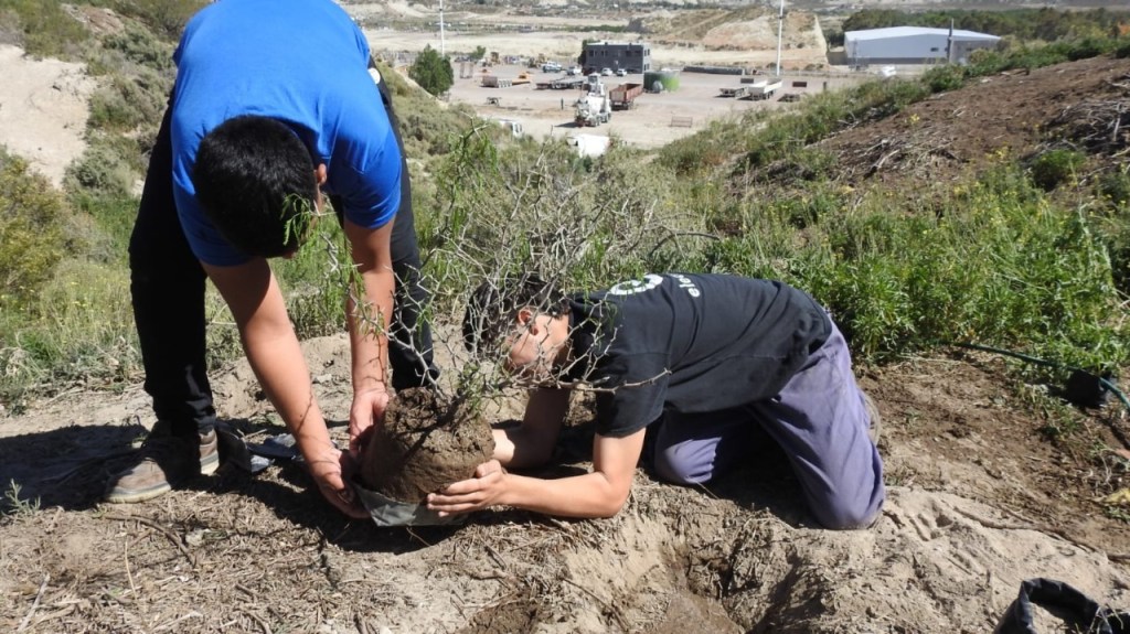#ECOLOGÍA | BRINDARON TALLER PARA ESTUDIANTES SOBRE REHABILITACIÓN DE VEGETACIÓN CON ESPECIES&nbsp;NATIVAS