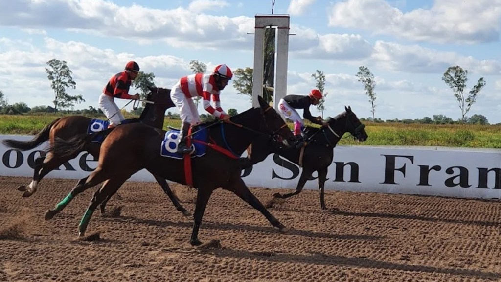 #CÓRDOBA | MUEREN DOS CABALLOS LUEGO DE PARTICIPAR EN UNA&nbsp;CARRERA