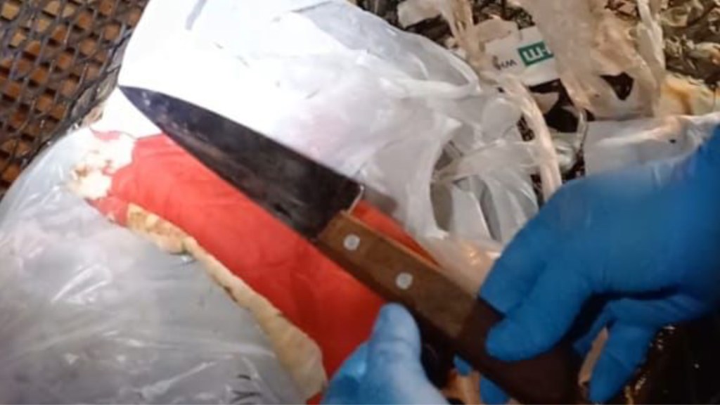 #POLICIALES | JOVEN APUÑALADA EN EL PECHO POR UN AMIGO DESPUÉS DE UNA&nbsp;DISCUSIÓN