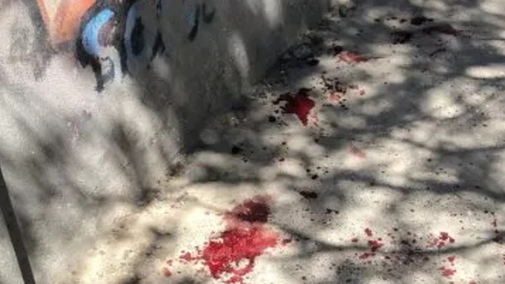 #HORROR | ASESINAN A PUÑALADAS A UNA DOCENTE EN COMODORO&nbsp;RIVADAVIA