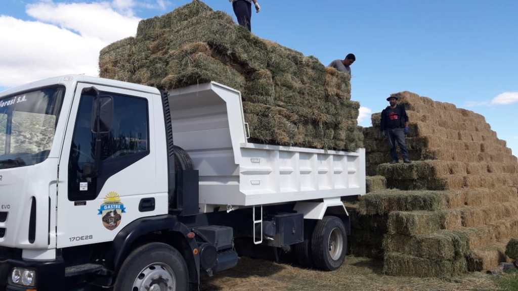 #CHUBUT | FARDOS DE PASTO PARA PRODUCTORES AFECTADOS POR LA&nbsp;SEQUÍA