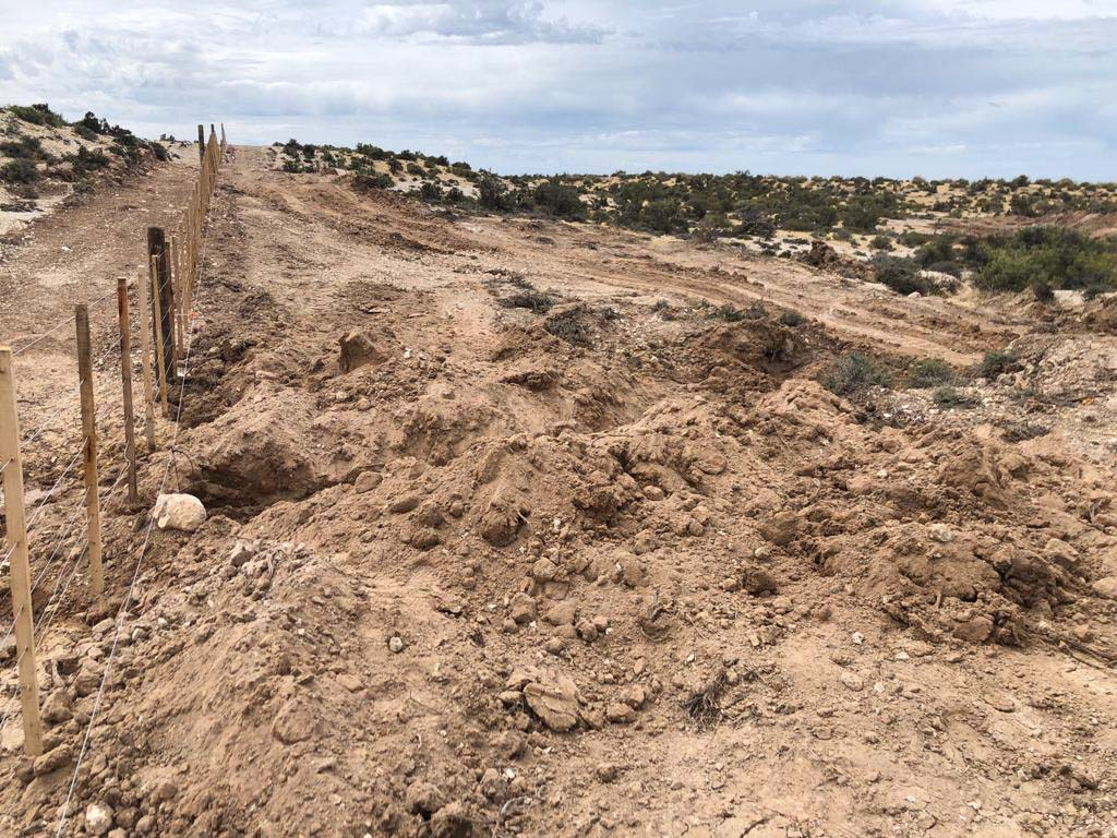 #CHUBUT | EL MINISTRO DE AMBIENTE DE NACIÓN REALIZARÁ DEMUNCIA PENAL POR LA MATANZA DE PINGÜINOS EN&nbsp;TOMBO