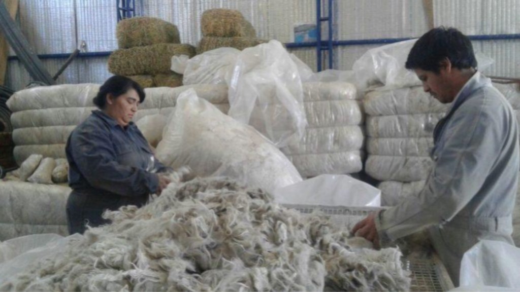 #PRODUCCIÓN | 11 ORGANIZACIONES DE CHUBUT Y RIO NEGRO VENDIERON 39 TONELADAS DE LANA&nbsp;MOHAIR