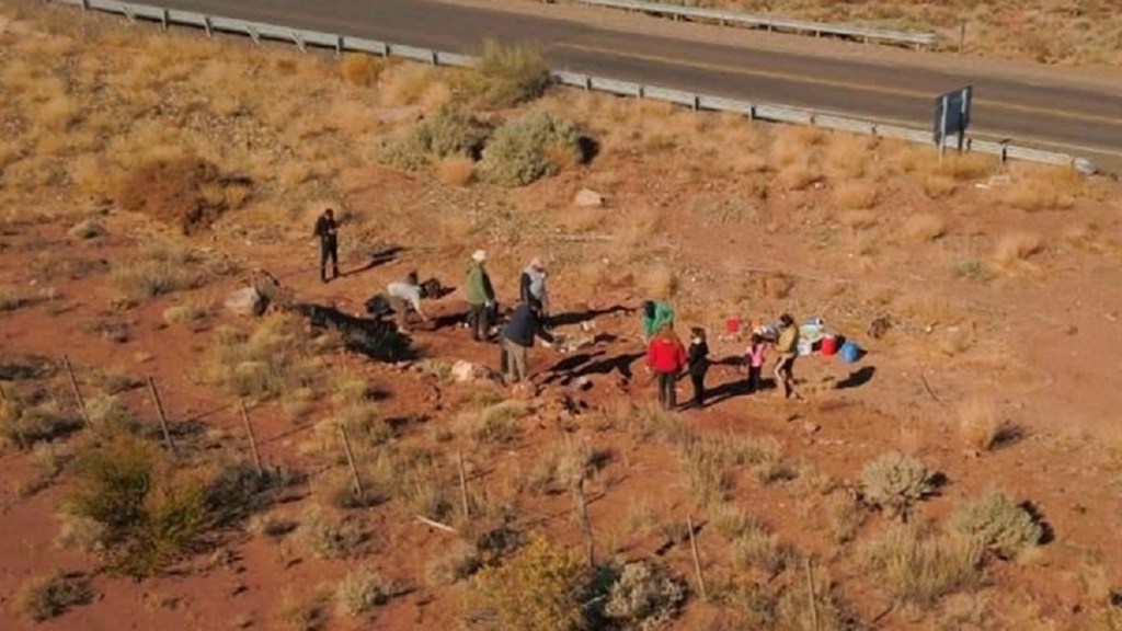 #CIENCIA | DESCUBREN FÓSILES DE DINOSAURIOS EN&nbsp;NEUQUÉN