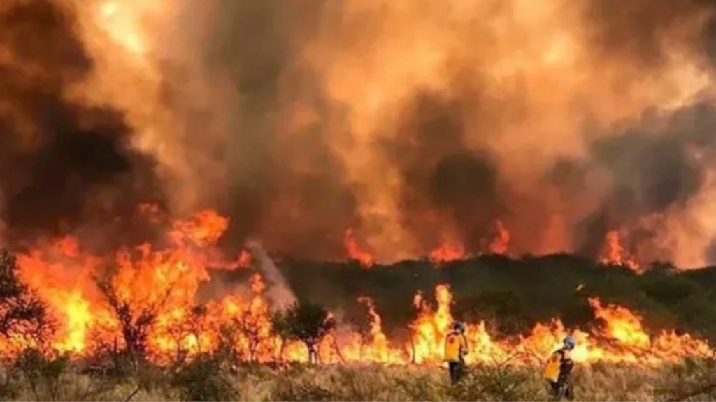 #INCENDIOS | DECLARARON LA EMERGENCIA ÍGNEA EN TODO EL&nbsp;PAÍS