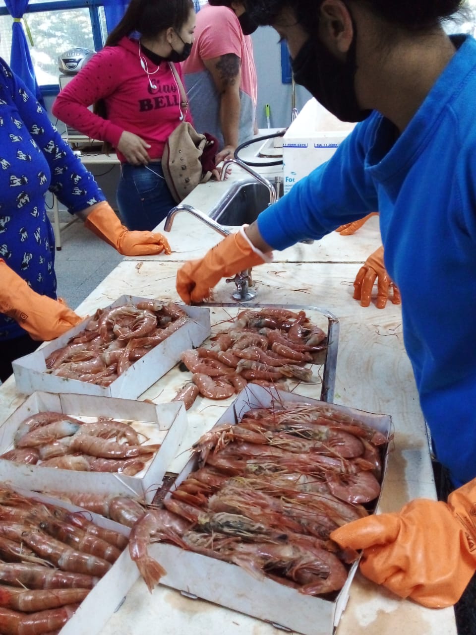 #RAWSON | ALUMNOS DE LA EMAL SE CAPACITARON EN PROCESAMIENTO DE MATERIA PRIMA&nbsp;MARINA